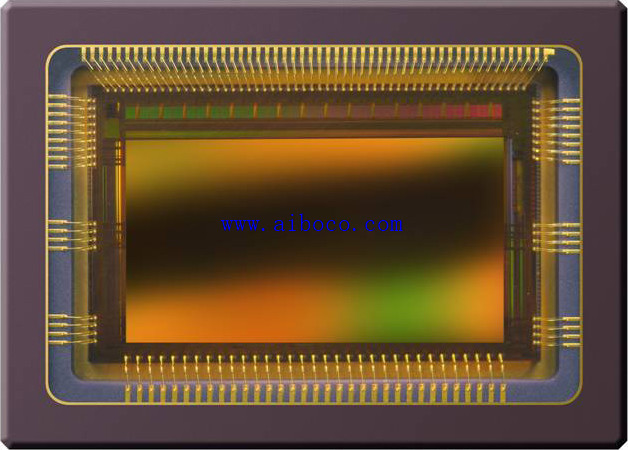 cmv2000.jpg