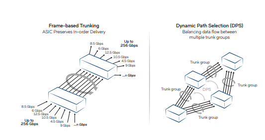 Brocade 6510交换机-西安福川电子科技